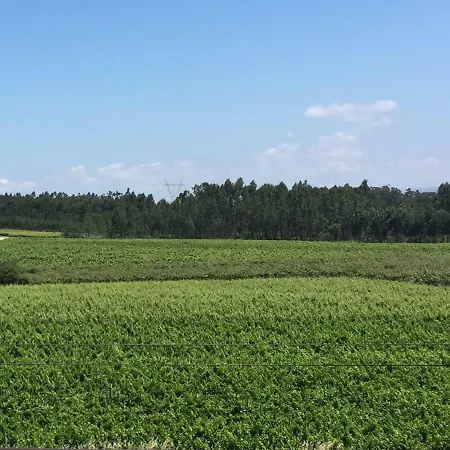 Quinta Da Fogueira
