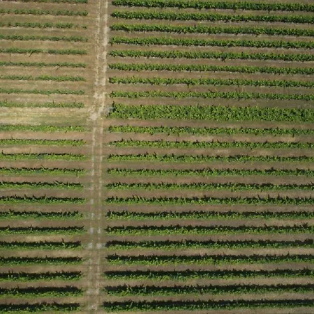 וילה Quinta Da Fogueira אנאדיה