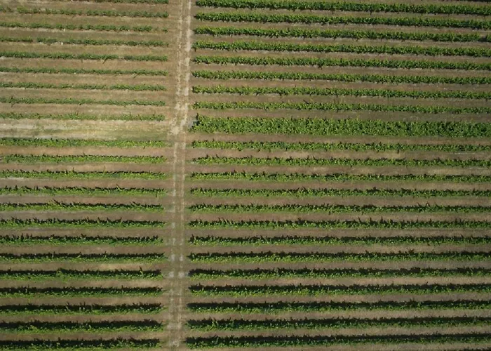 Villa Quinta Da Fogueira Anadia